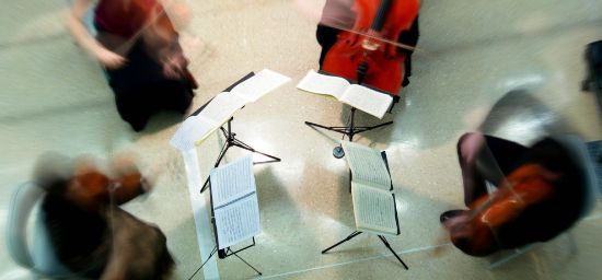 Picture of Chamber Music Workshop Tuition