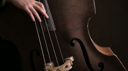string bass