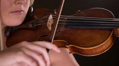 violin