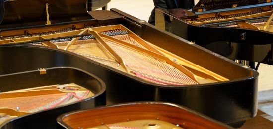 photo of many pianos with lids off